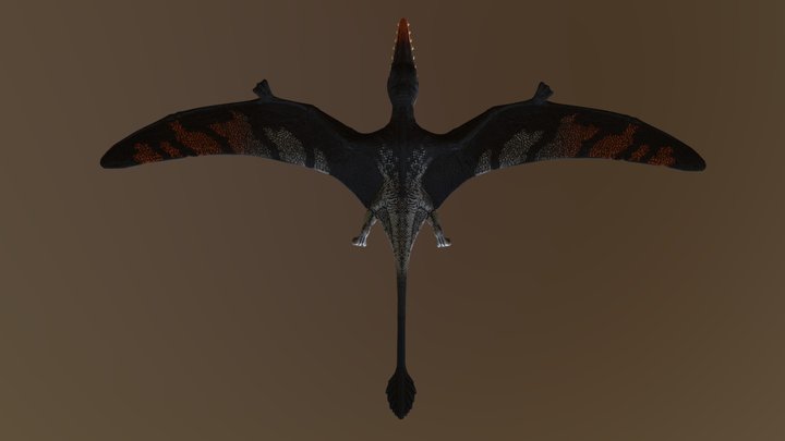 Rhamphorhynchus 3D Model