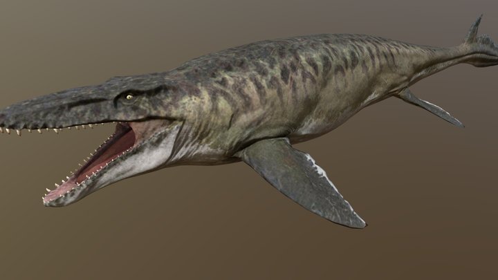 Mosasaurus (jwr) 3D Model